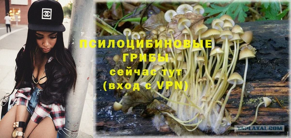 apvp Балахна